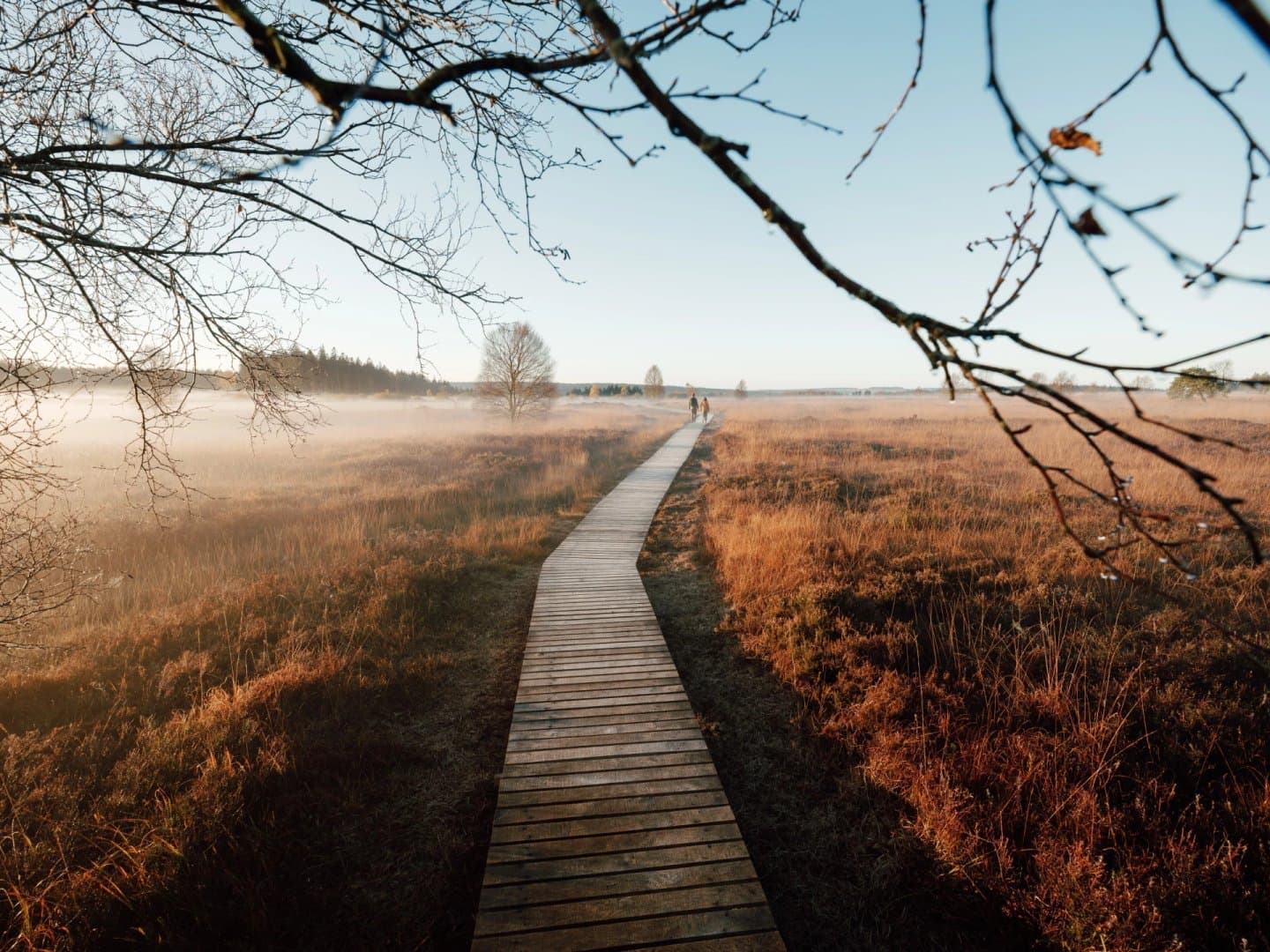 HIKING HIGH FENS
